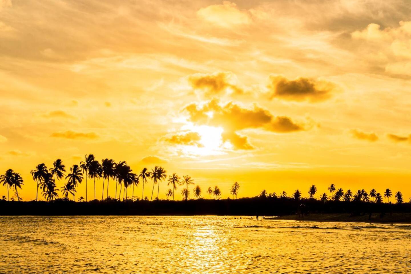 Studio Em Porto De Galinhas - Vista P Piscina Экстерьер фото